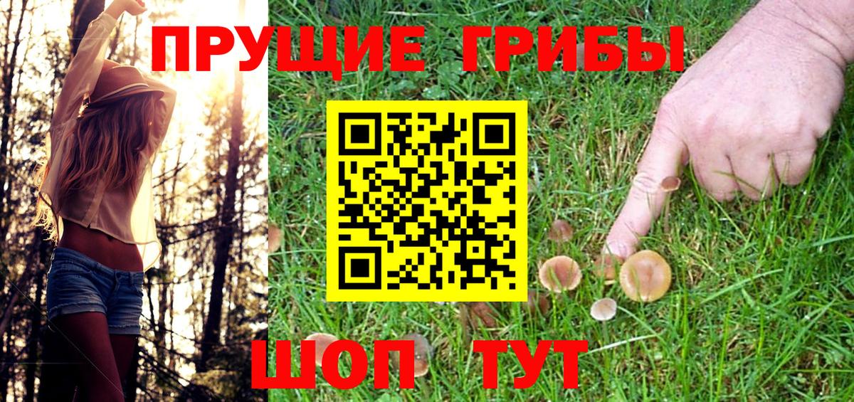 Галлюциногенные грибы Cubensis Екатеринбург