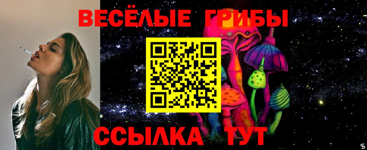 Галлюциногенные грибы GOLDEN TEACHER  Вход с VPN  Екатеринбург  Псилоцибиновые грибы Magic Shrooms 