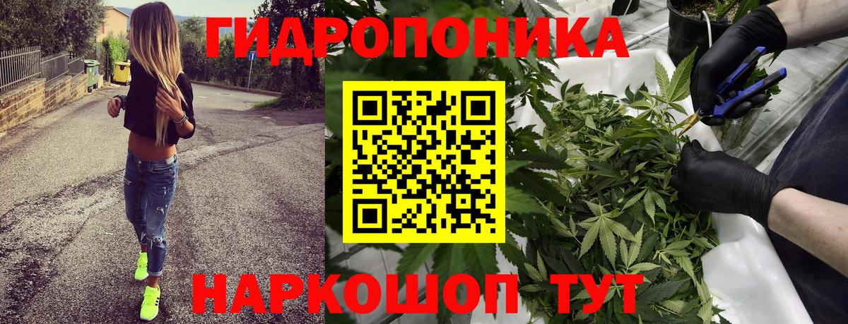 Конопля White Widow  Каннабис конопля  Вход с VPN  Екатеринбург  Бошки марихуана сатива 